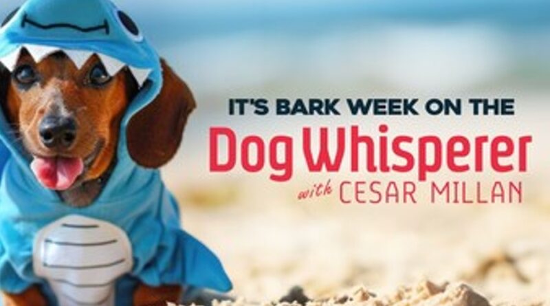 Cineverse Partners with VA Media to Accelerate Digital Monetization of YouTube Channels