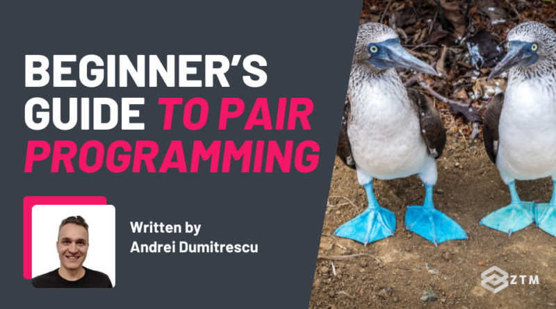 Beginner’s Guide to Pair Programming