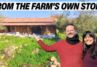 Turning 100-Year-Old Farm Stones Into Window Sills | Portugal Renovation – The Indigo Escape x Airalo – Ruthless Talent